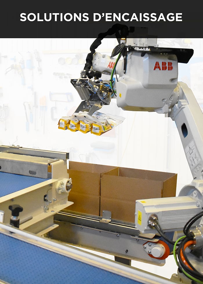 Robovic automatisation industrielle pour solution de remplissage de tote & palettisation robotisée